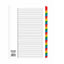 A4 Index Coloured White Divider